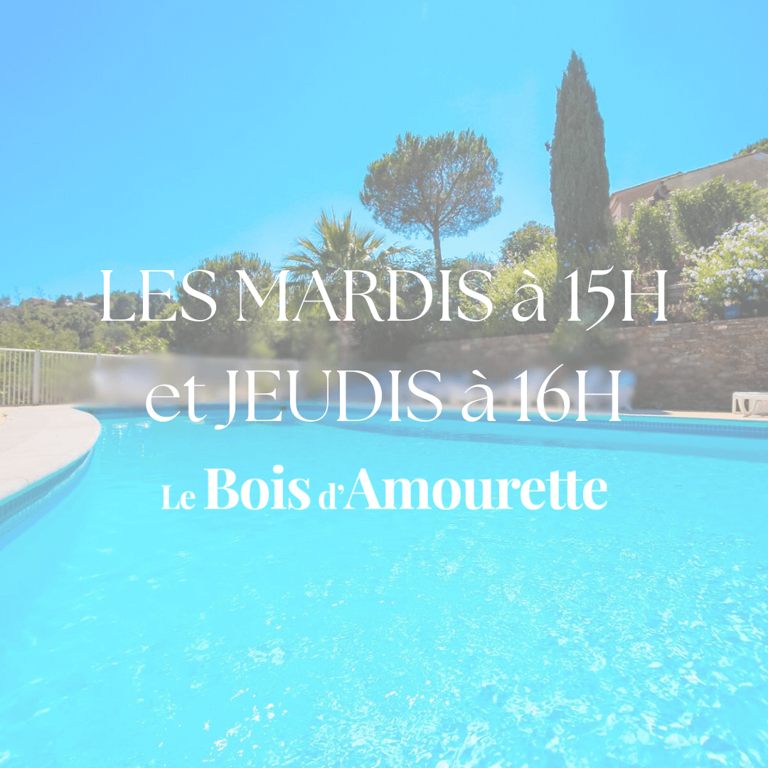 Bois Amourette Ateliers Fleurs Séchées Madame Mimosa